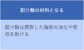 胆汁酸の材料となる