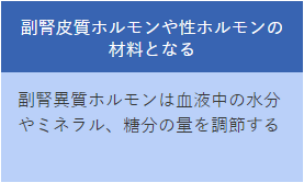 副腎皮質ホルモンや性ホルモンの材料となる