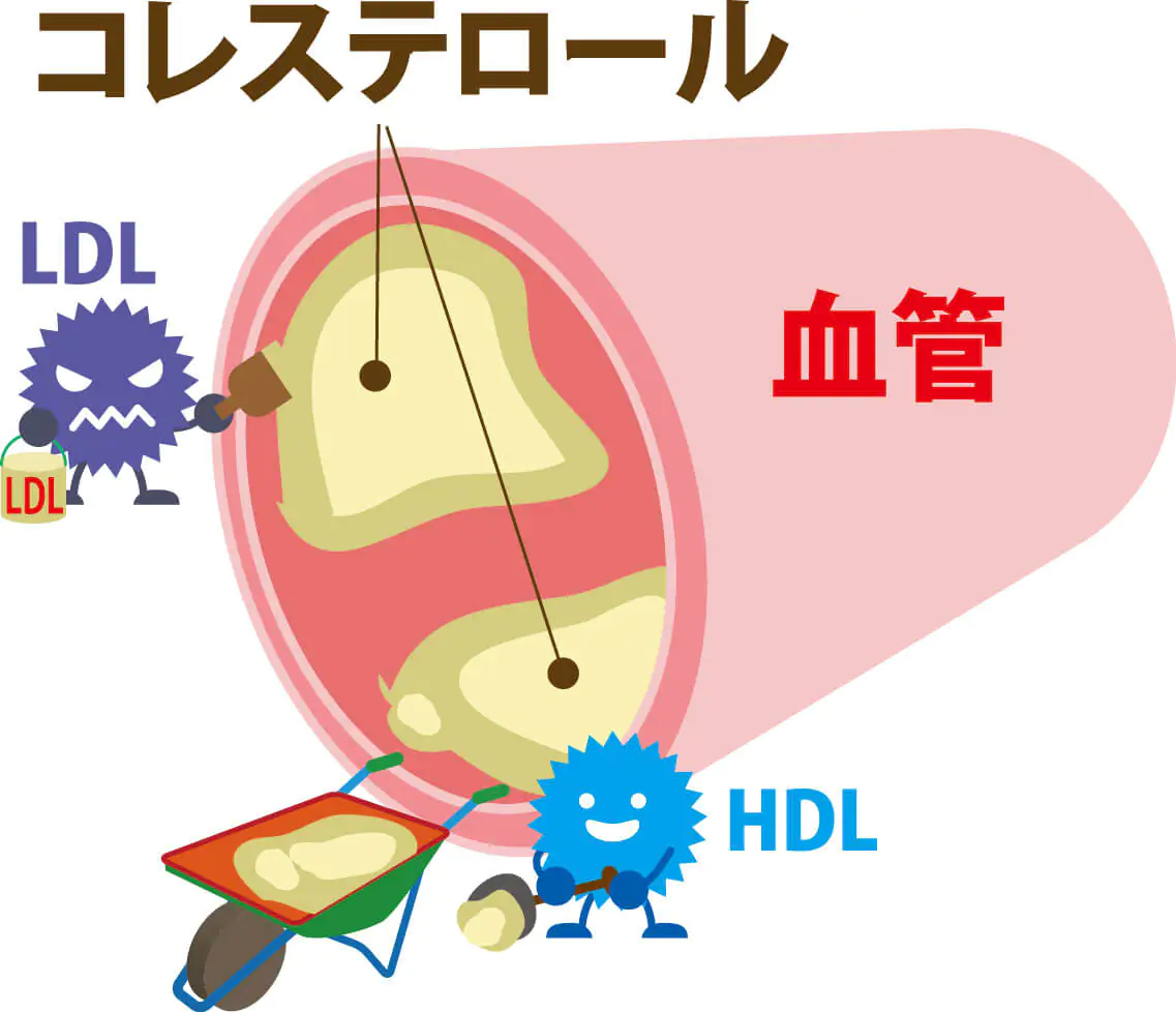 コレステロールとは